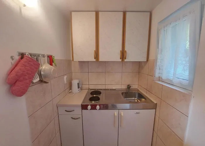 Anna פרימוסטן