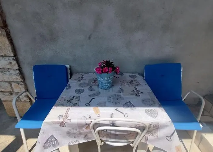 Anna פרימוסטן