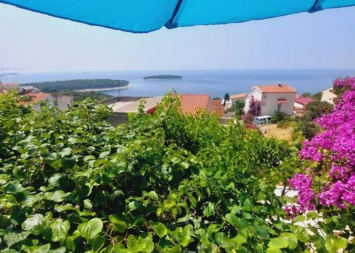 Anna פרימוסטן